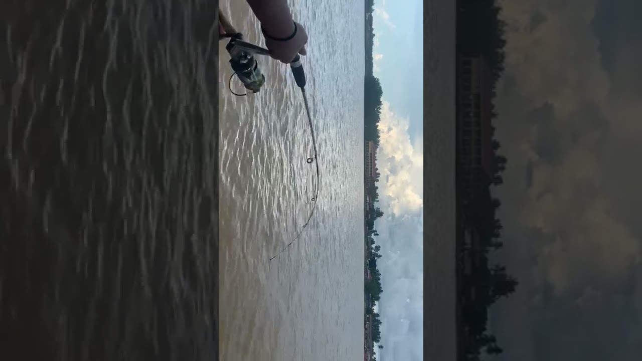 Baru nak belajar memancing..