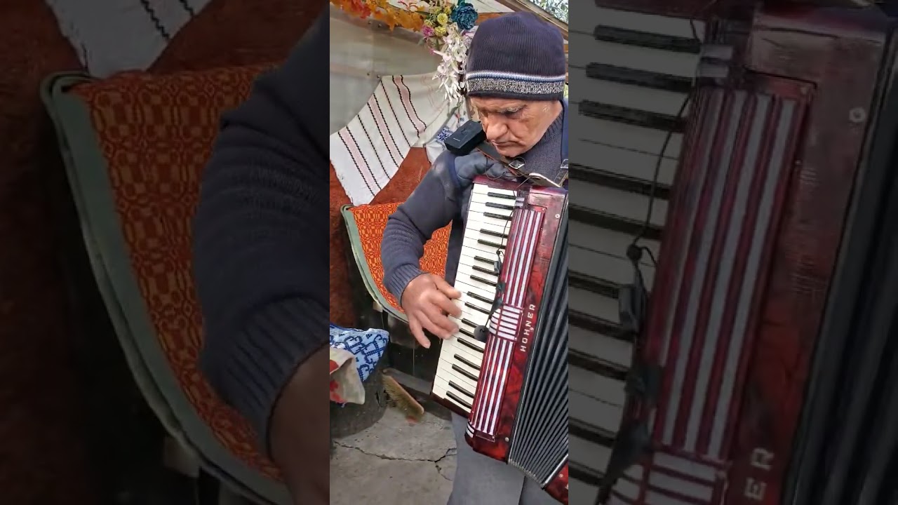 Lăutari Bătrâni unul cu Acordeonul altul cu orga Ceva frumos