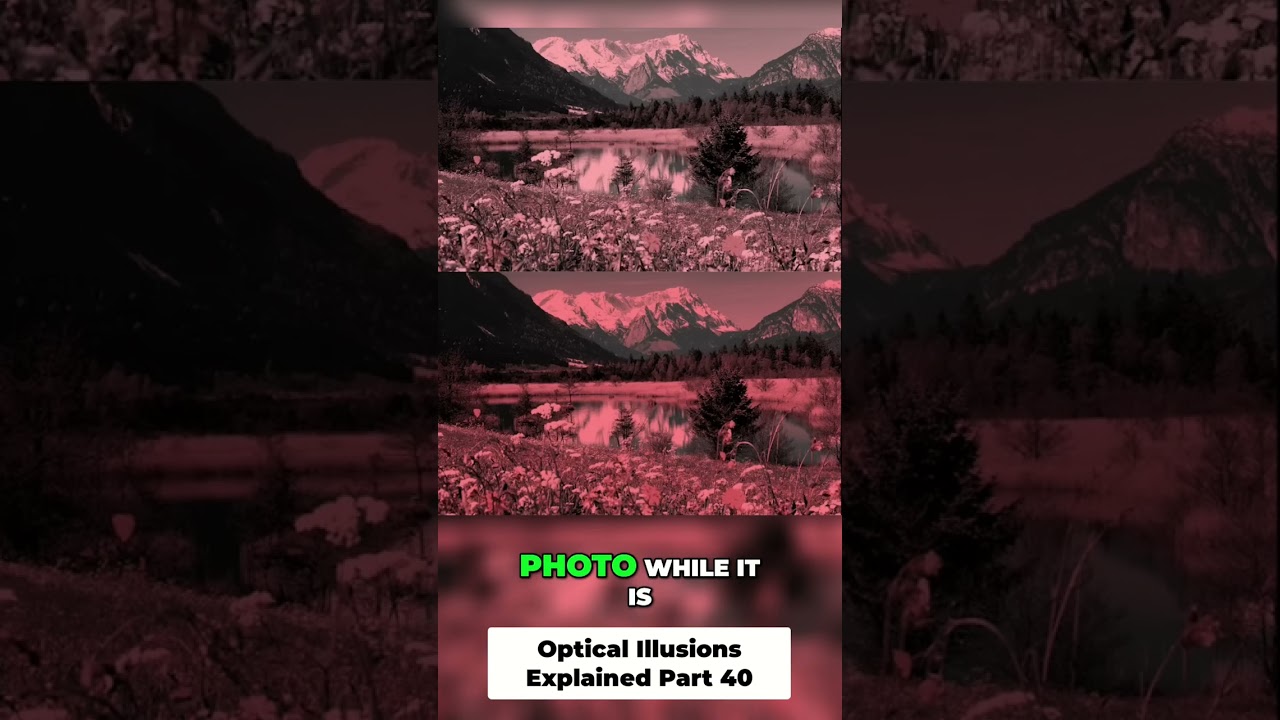 🎨 Secrets of Color Perception Revealed! 🌈
