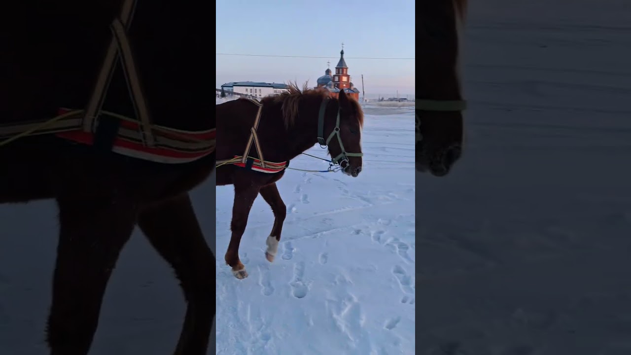 26 января 2026 г.