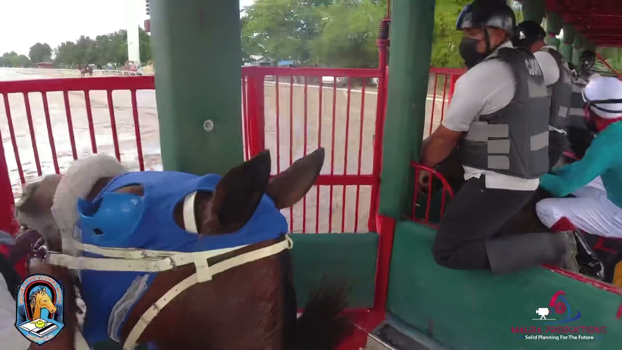 Jockey Action Cam
