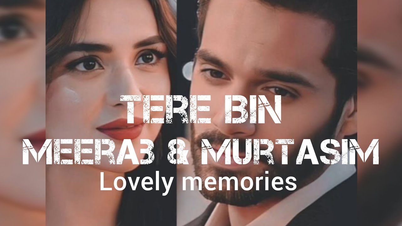 Tere Bin Best couple lovely moments  || Meerab & Murtasim fans Must watch 