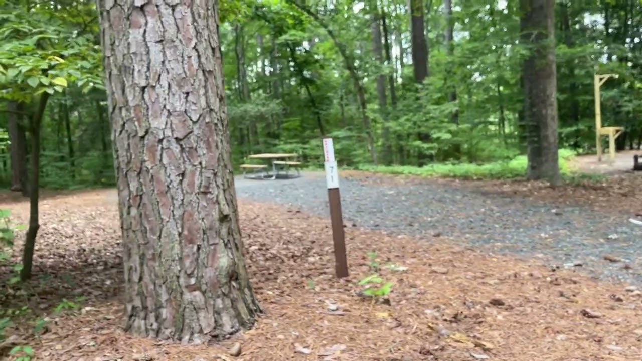 Pocomoke River State Park MD Acorn Waterfront and Fox camping loops