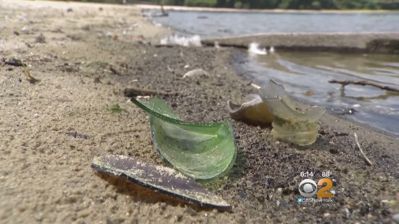 Cleaning Up Lake Ronkonkoma