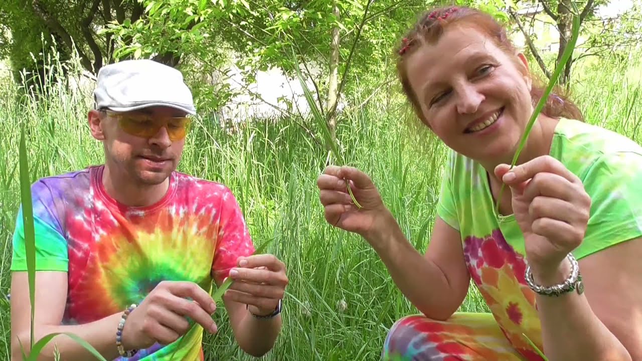 30 LÉČIVÝCH BYLIN naší zahrady - s Bylinkovým doktorem MUDr. Zbyňkem Mlčochem