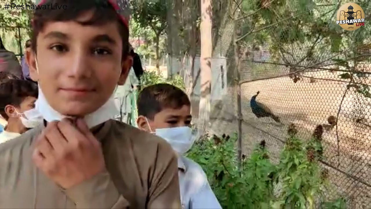 Peshawar Zoo Tour of Orphan Children | Organized by #KPToursim | PeshawarLive.com