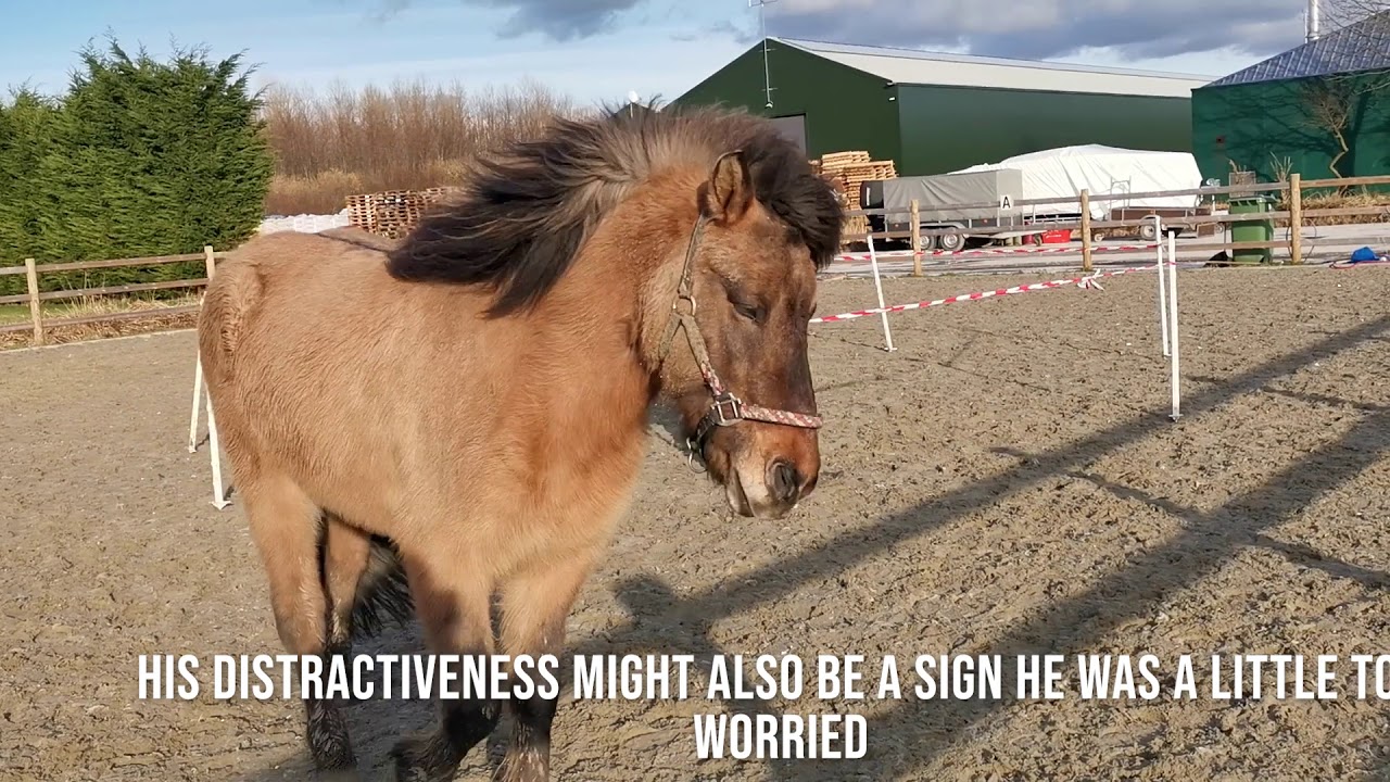 Reverse roundpen (r+) part 1