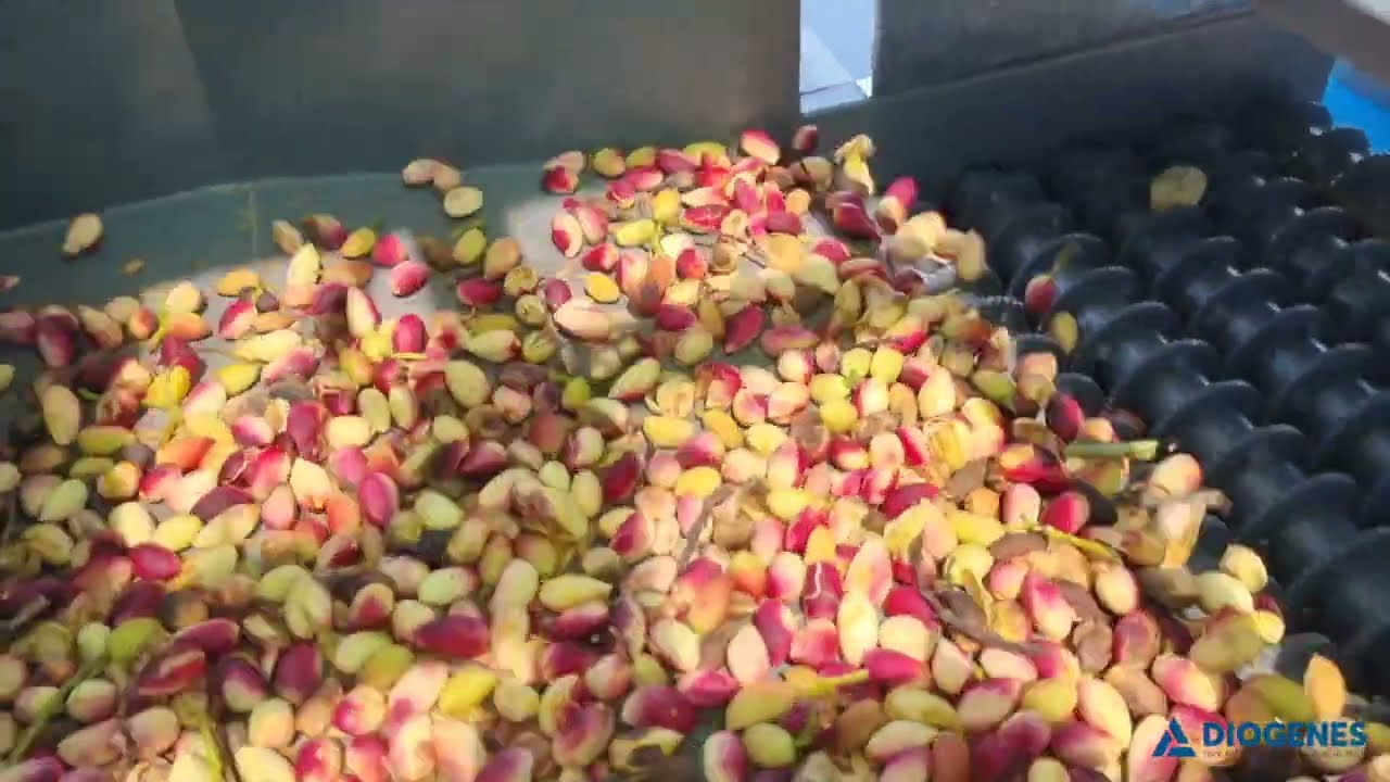 Γραμμή Αποφλοίωσης Κελυφωτού Φιστικιού - Pistachio Processing Line