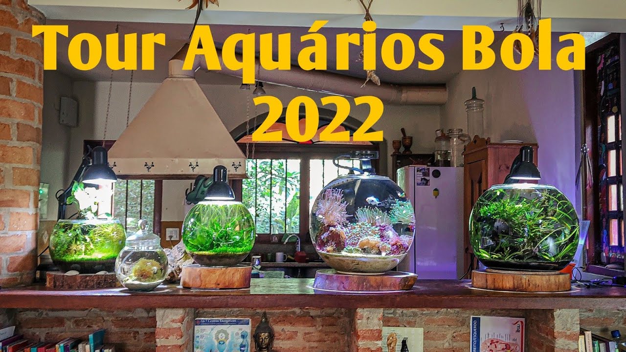 Tour Aquários Bola 2022