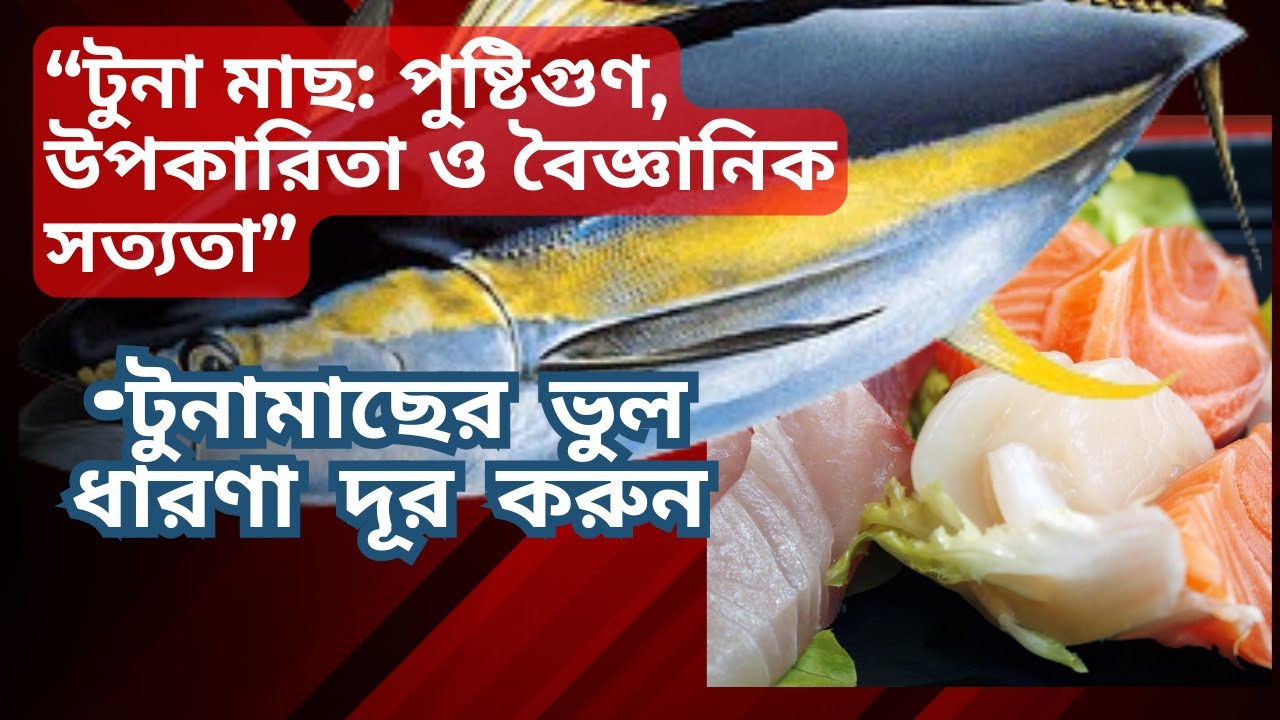 “টুনা মাছ:  পুষ্টিগুণ, উপকারিতা ও বৈজ্ঞানিক সত্যতা  || Tuna Fish Benefits in Bengali”
