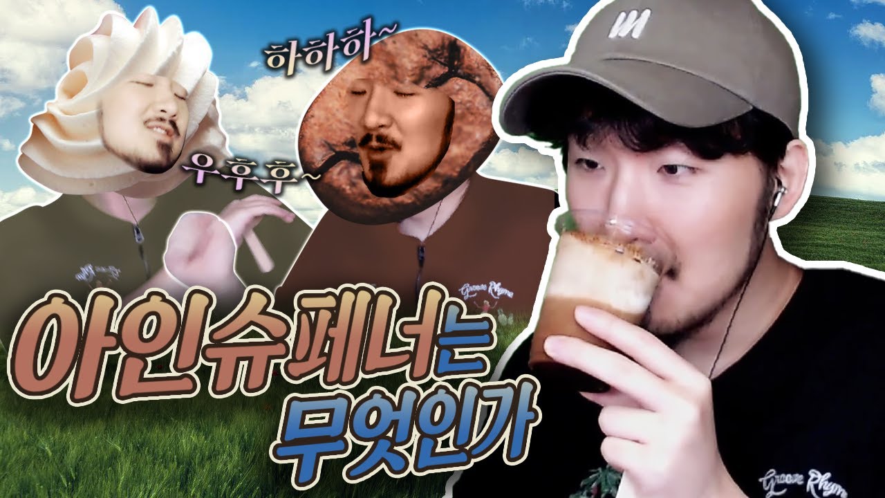 아인슈페너란 무엇인가(커피네요)