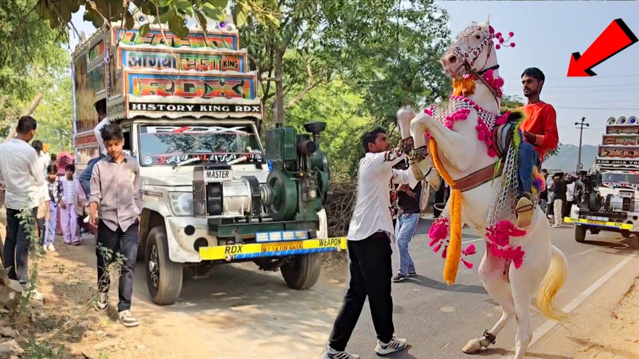घोड़ी और डीजे का तांडव - Thari Kamar Ko Pasino Perfume Ban Gyo !! Ghodi Dance Video !! Perfume Lagve
