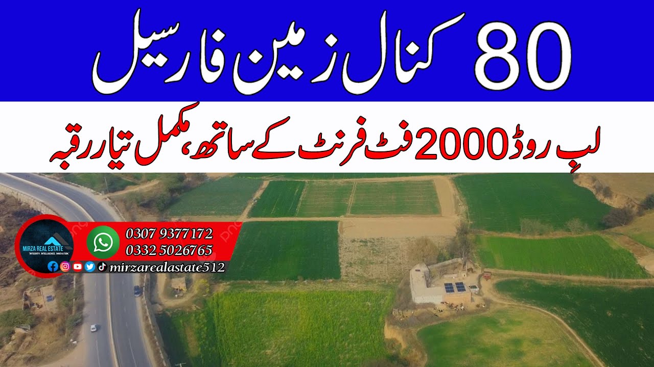 80 Kanal Agricultural Land For Sale | Zari Raqba | District Chakwal | Mirza Real Estate#agriculture