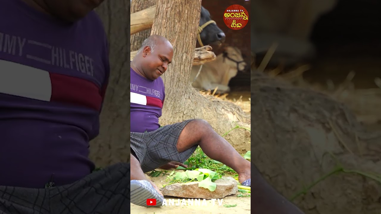 వెంట్రుకలకు మందు కనిపెట్టిన సుబ్బు 😜😜 #viral #shorts#trending#village comedy #anjannatv