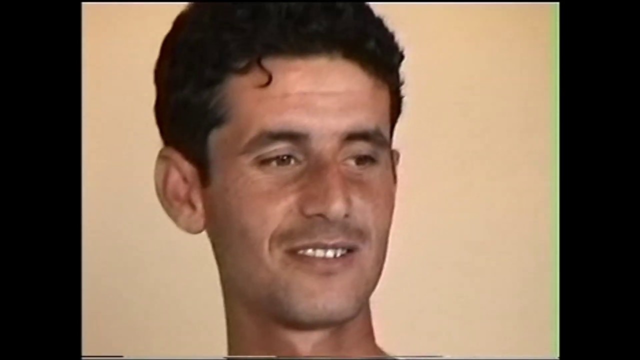 BİBNÖK 2002