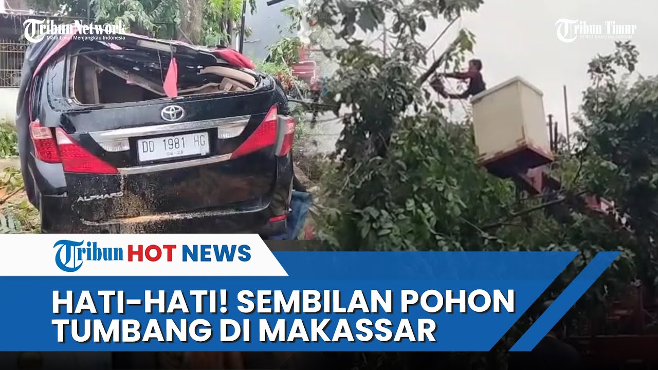 Mobil Alphard Milik Ketua RW 06 Kelurahan Buakana Tertimpa Pohon Tumbang
