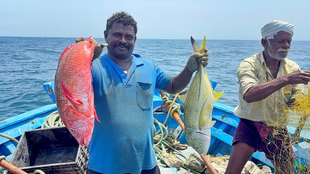 Amazing !!! Second Day We are Caught Lot of Red shapper & Emperor Fish's