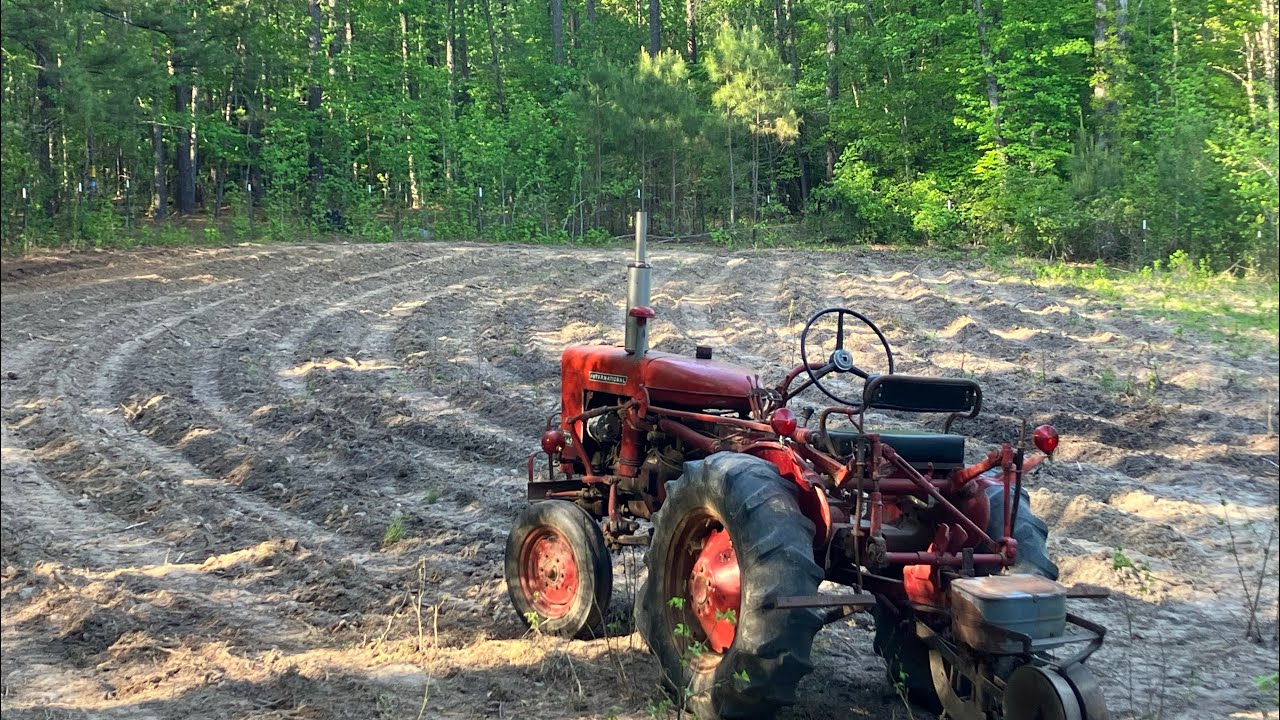 Good Friday 2025 - Planting Day with the 140!