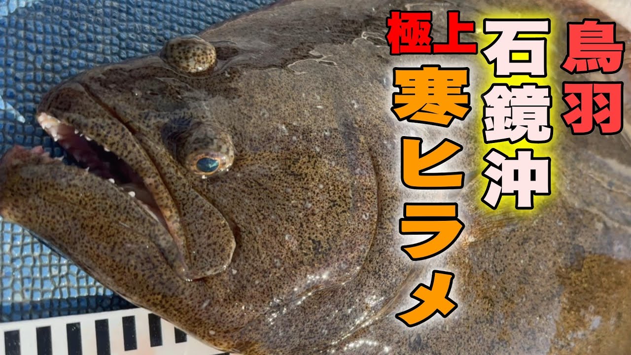 《三重・三幸丸》【潜入撮影】イワシ泳がせ釣り　大ヒラメ量産海域　三重県・鳥羽・石鏡沖の寒ヒラメ　2025 1 19イワシ泳がせ　寒ヒラメ