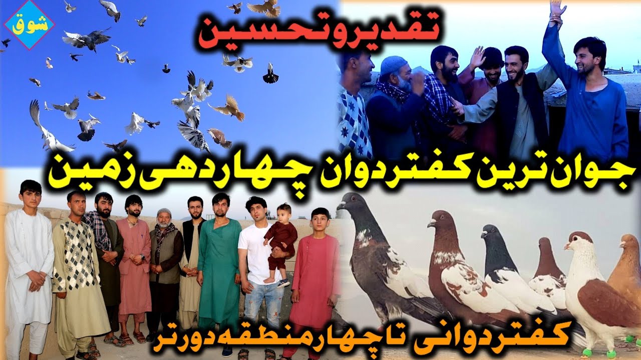 جوان ترین کفتر دوان چهاردهی زمین / دوش کفتر تا کیلومتر ها دور / شوق در چهاردهی زمین بام احمد رشاد