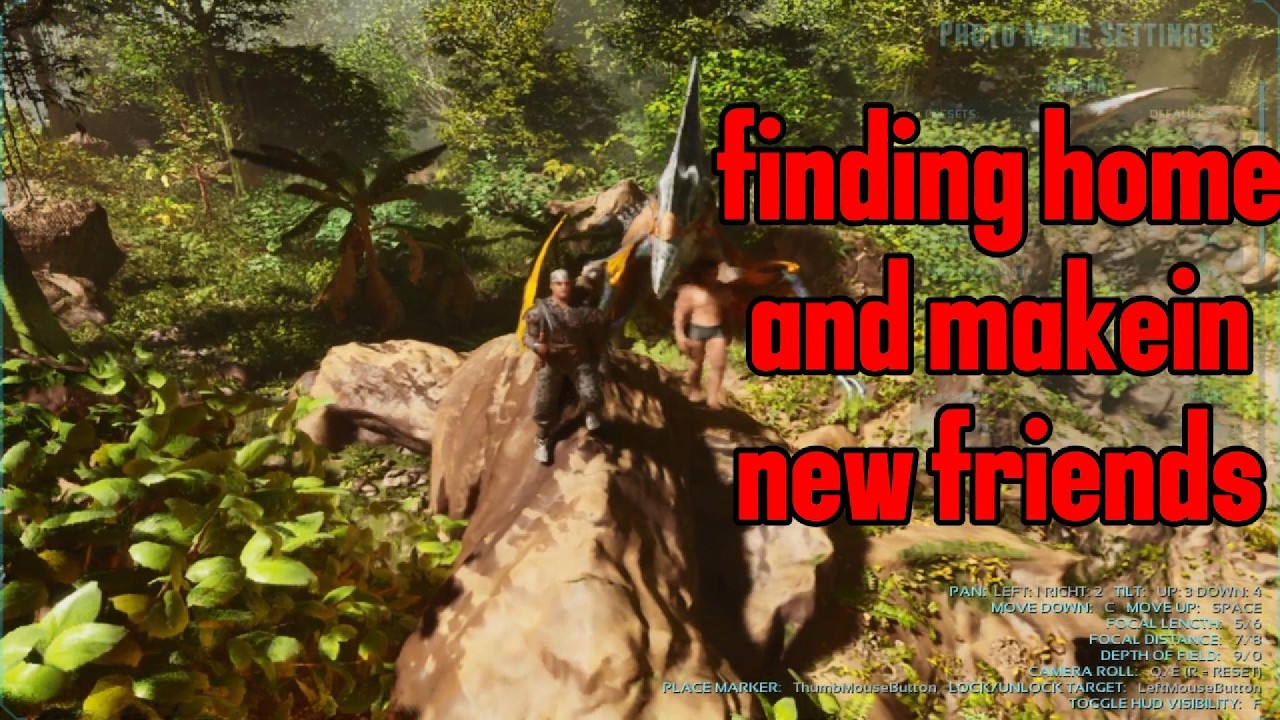 finding a new home and new friends