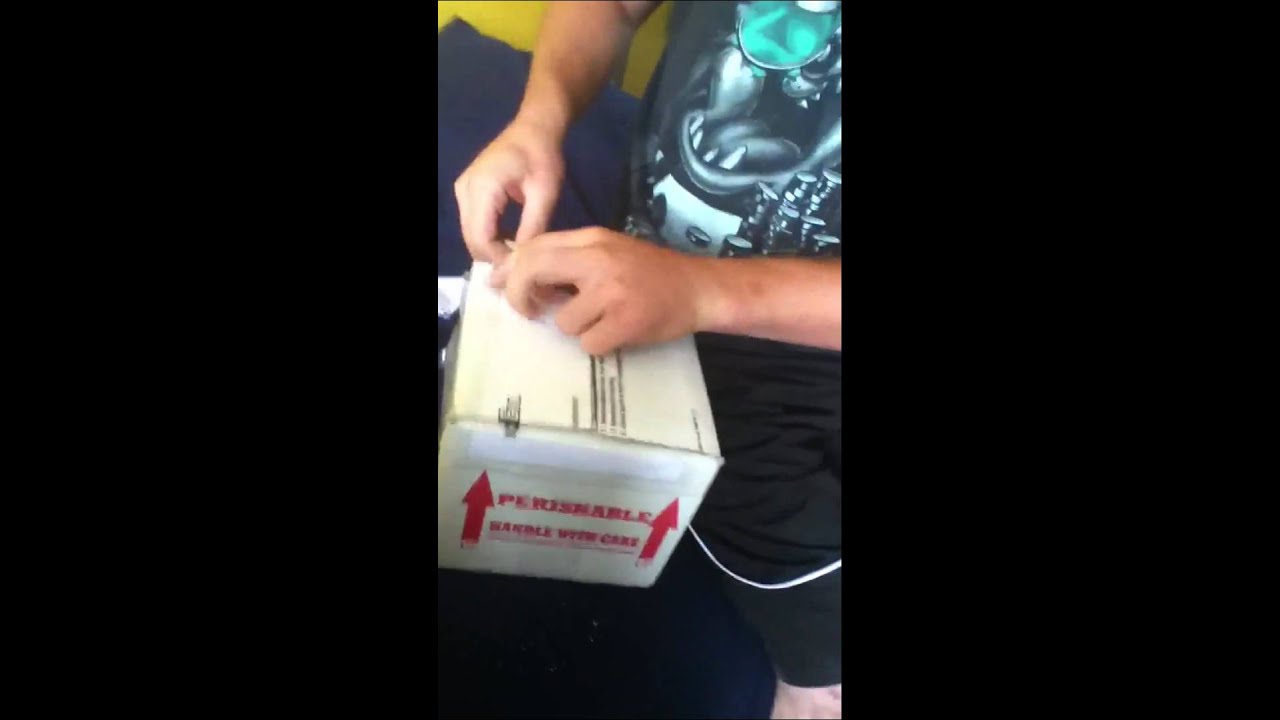 Unboxing Brooks kingsnake