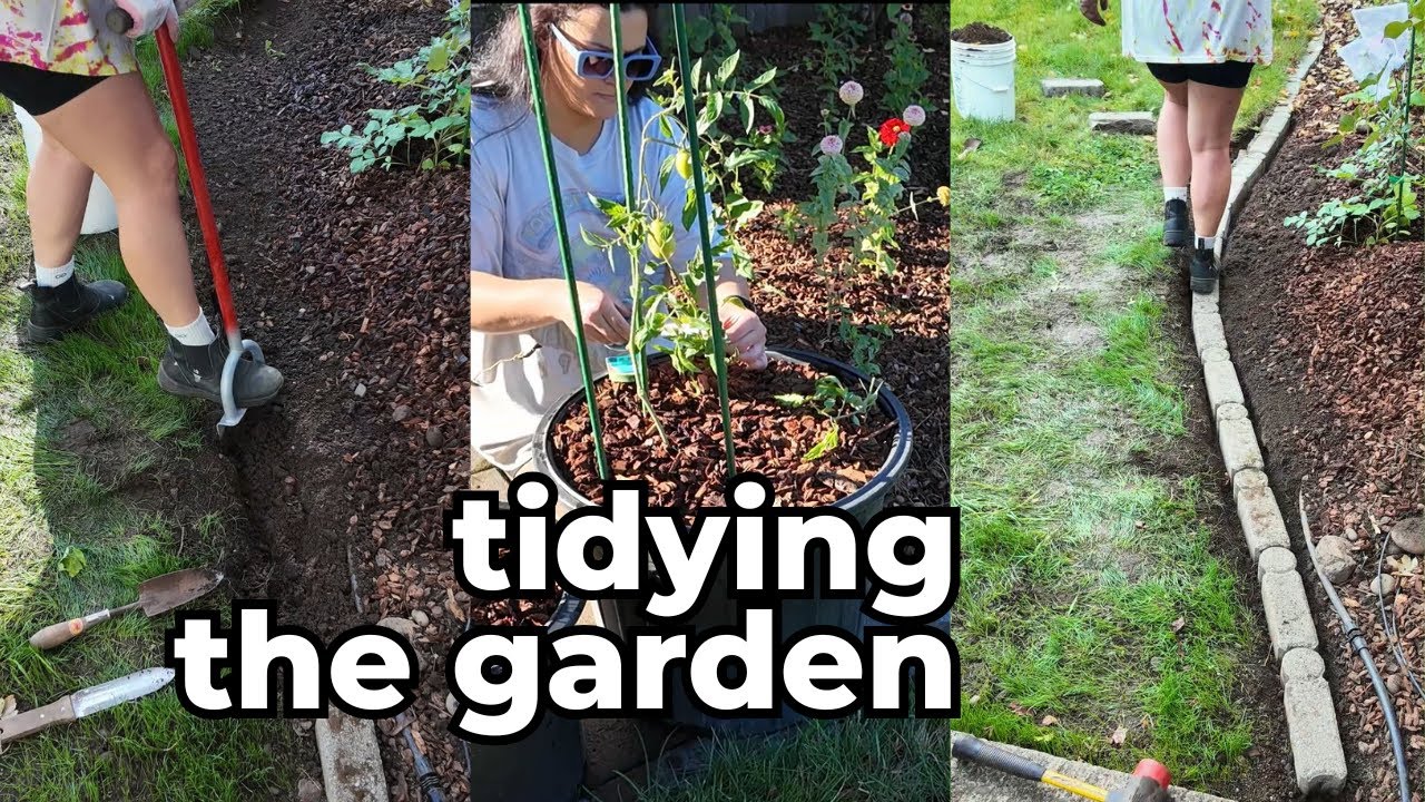 fall garden reset | edging a flower bed & plant maintenance