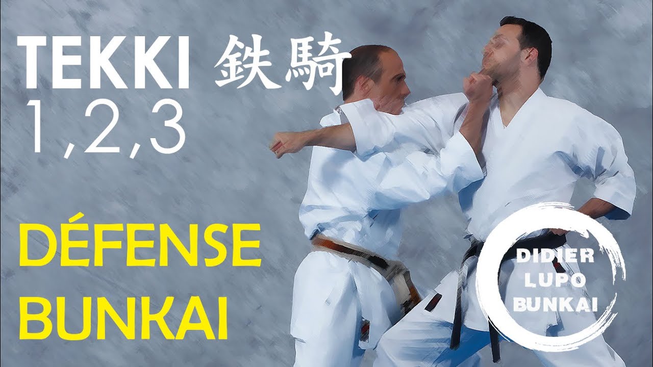 Tekki Shodan Nidan et Sandan Défense Bunkai par Didier LUPO