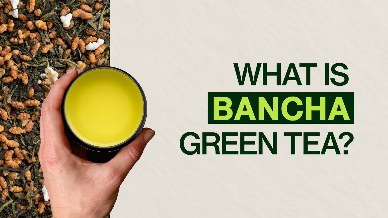 What is Bancha Tea?