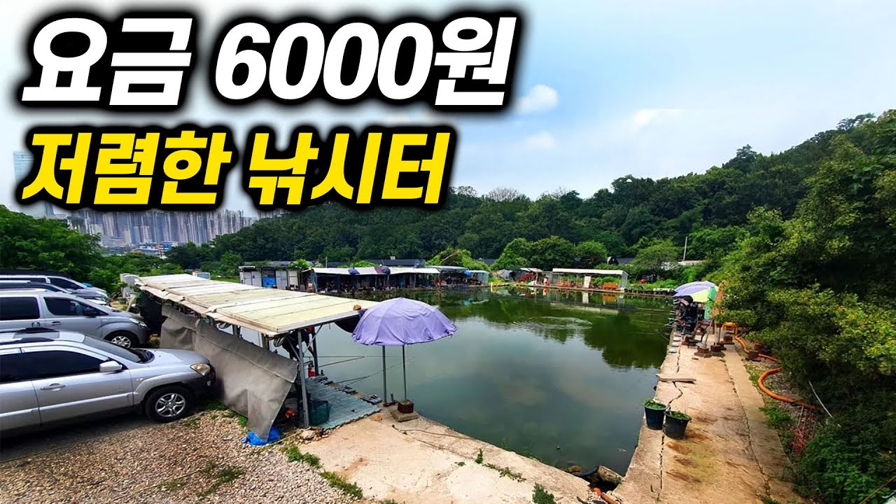 세상에 낚시터 요금이 6,000원 이라고? 무조건 가야죠!