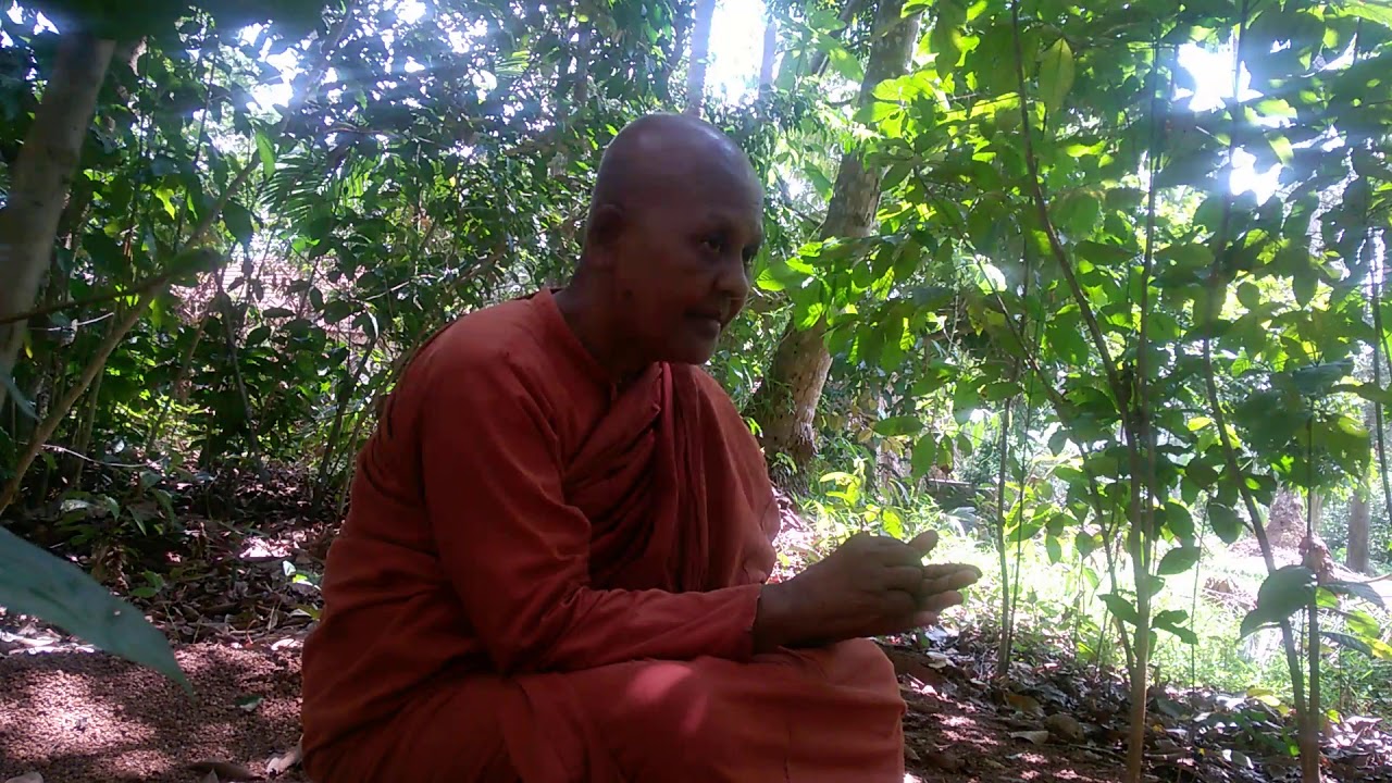 කාලින ධර්ම දේශනාව6   විල්වත්තේ පද්මනන්දා තෙරණින් වහන්සේ
