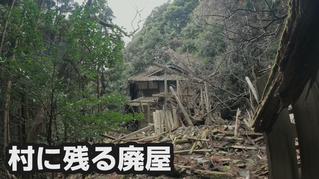 廃村に残る平坦地や屋敷周りを歩く