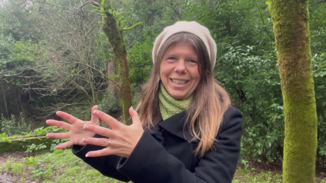 Abundance Depends On What You’re Paying Attention To Vs What You’re Attracting