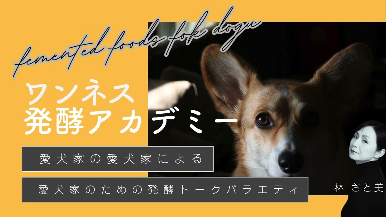 AIにレシピを「丸投げ」していませんか？