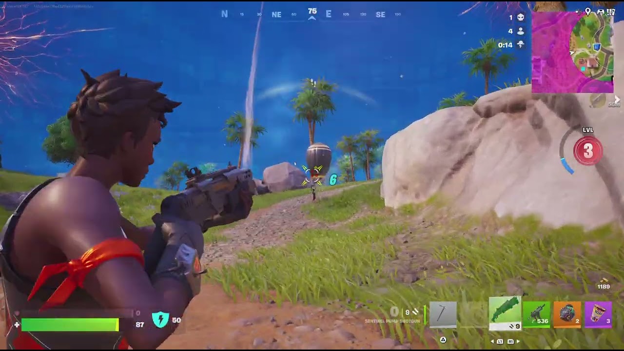 Fortnite Win Victory