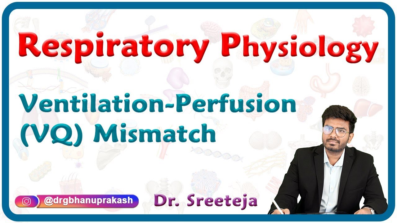 Ventilation-perfusion (V/Q) mismatch : Respiratory physiology USMLE Step 1