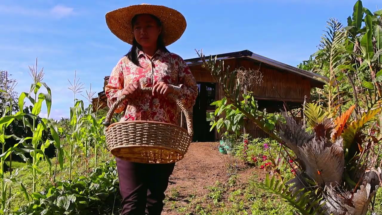 Harvest to Table: Simple Living Cooking Beans & Petchay on the Farm
