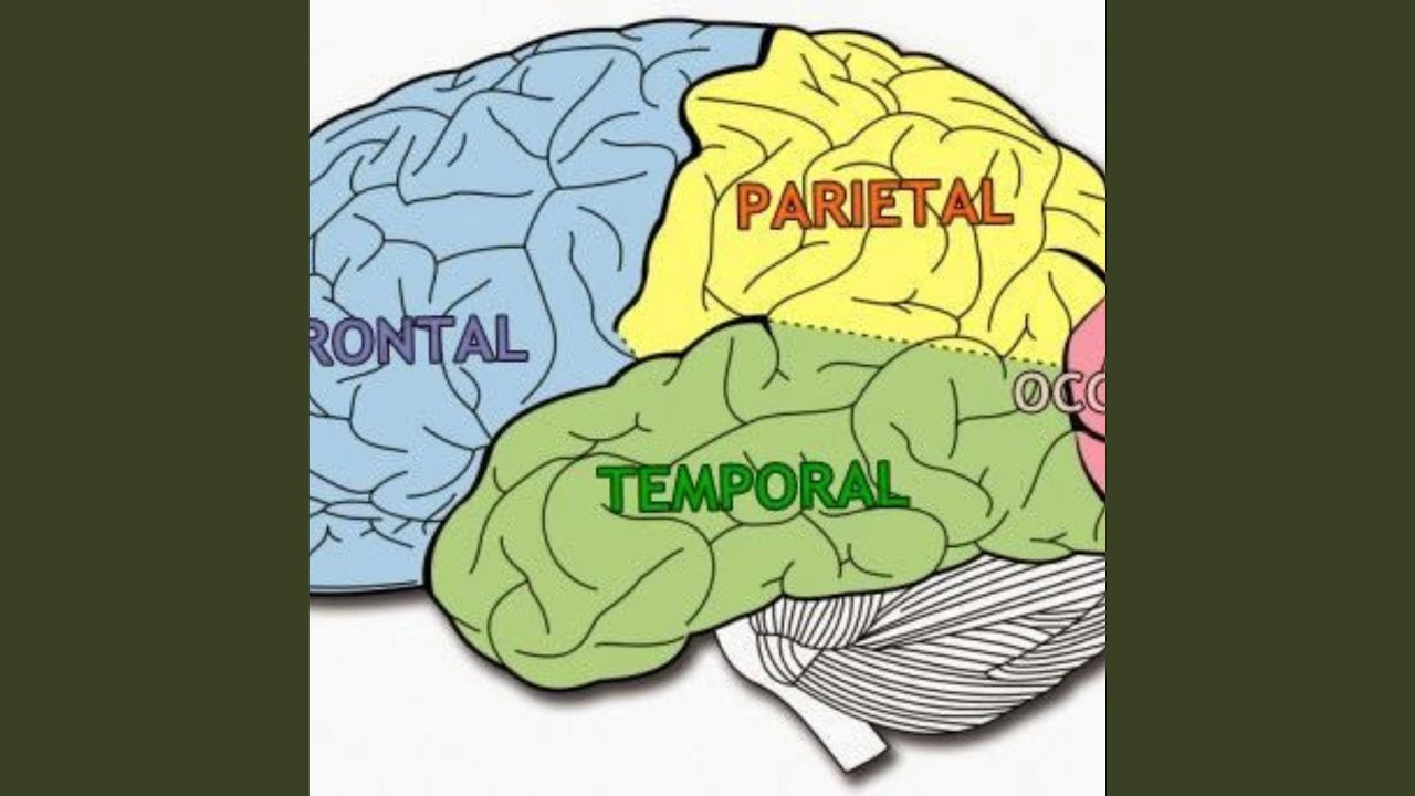 No todo es mental