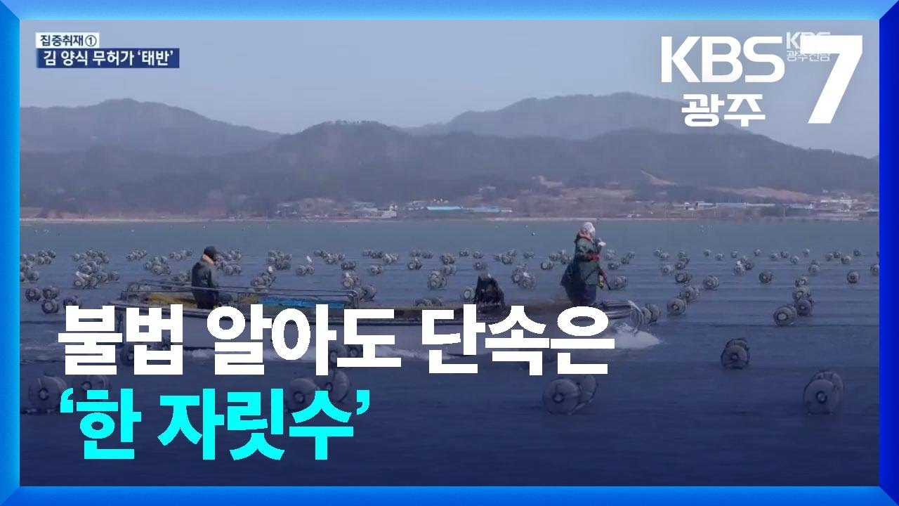 [집중취재] 불법 알아도 단속은 ‘한 자릿수’ / KBS  2025.04.23.