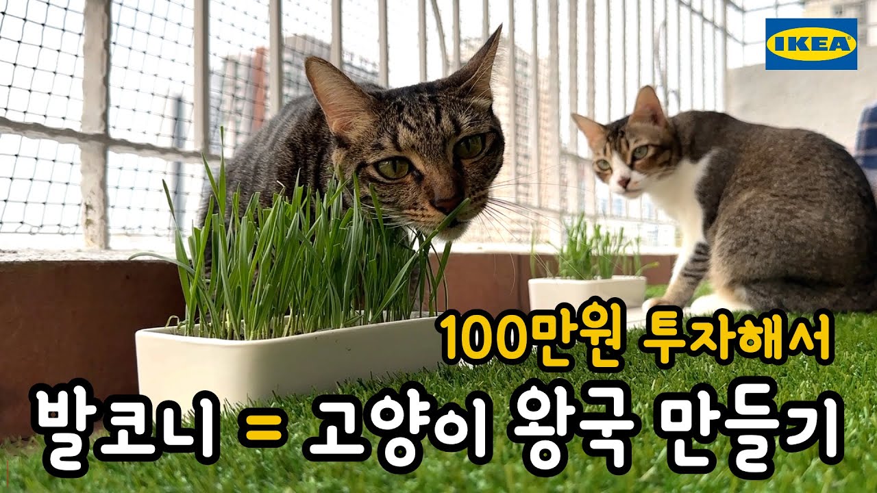 해펀티뚜를 위한 발코니 캣티오 프로젝트! (feat. IKEA)