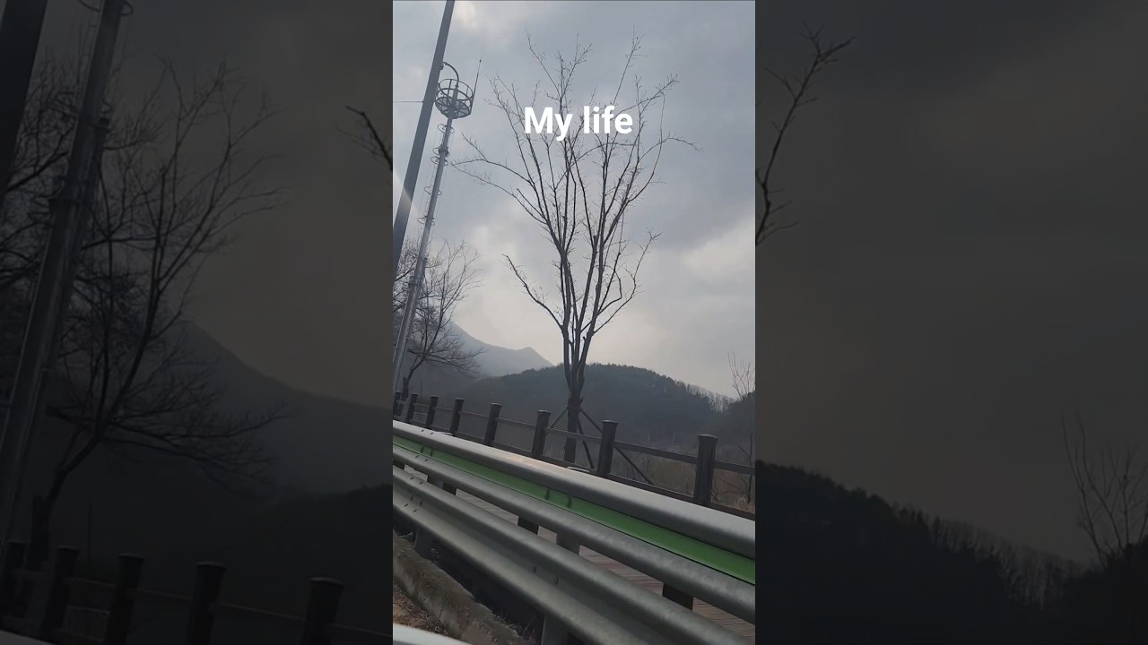 #My Life #즐거운인생 #휴일은알차게