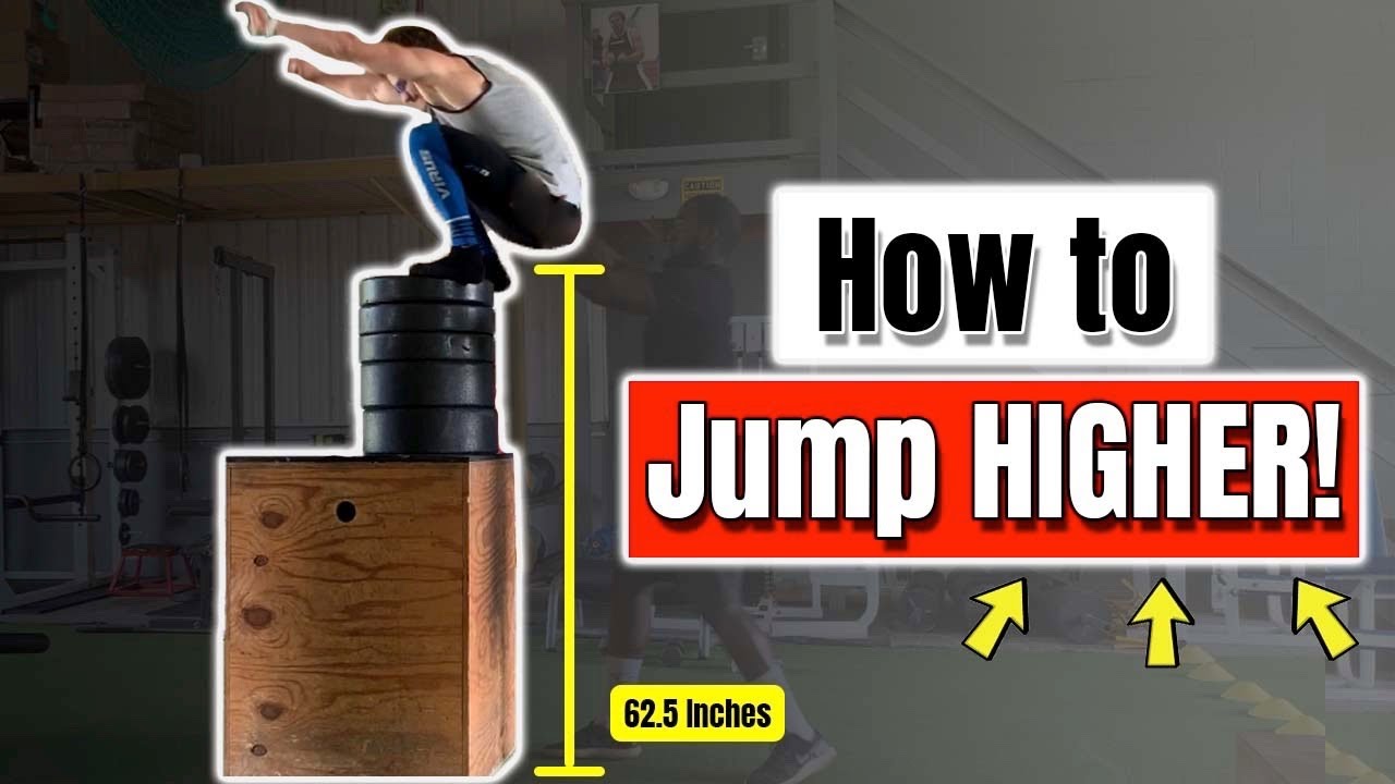 Vertical Jump Explained (The Stretch-Shortening Cycle and Muscular Co-Contraction)