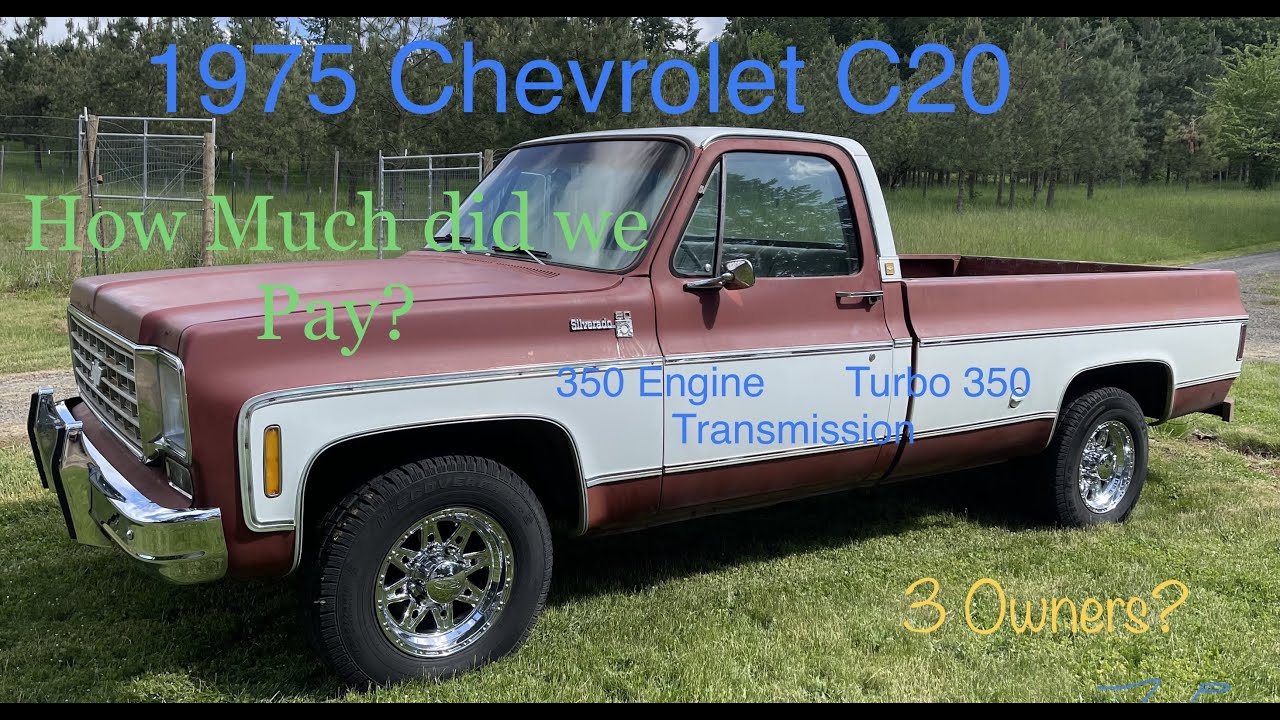 Square Body Chevy C20 Long Bed Pickup Survivor Will it Run?