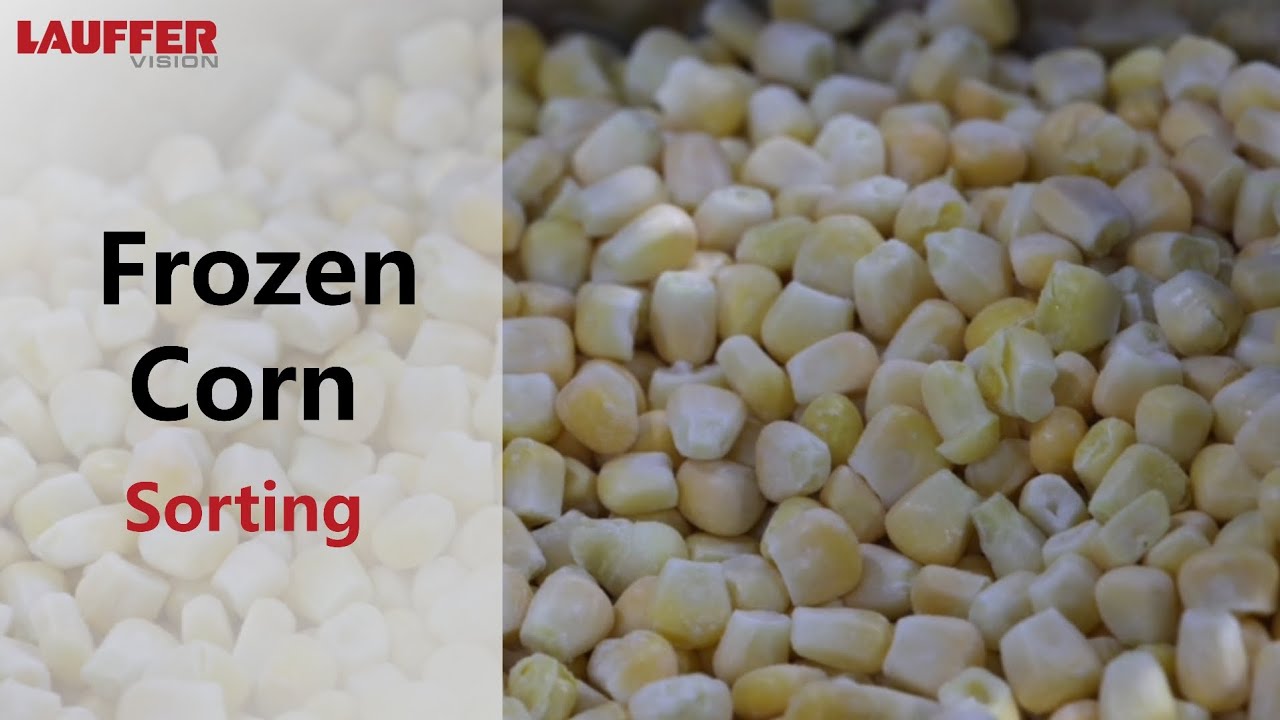 AI Powered Sensor-Based Sorting System - Frozen corn
