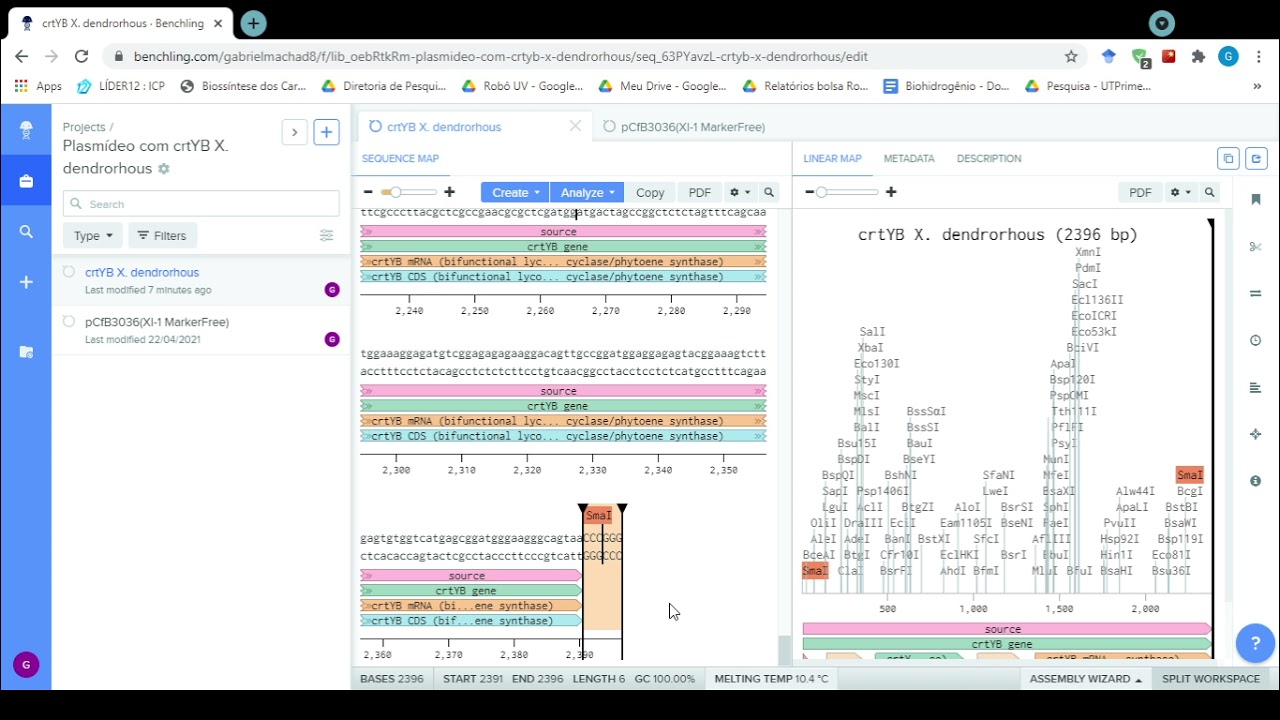 Inser&ccedil;&atilde;o de um gene em um plasm&iacute;deo - Digest and Ligate | BENCHLING 02