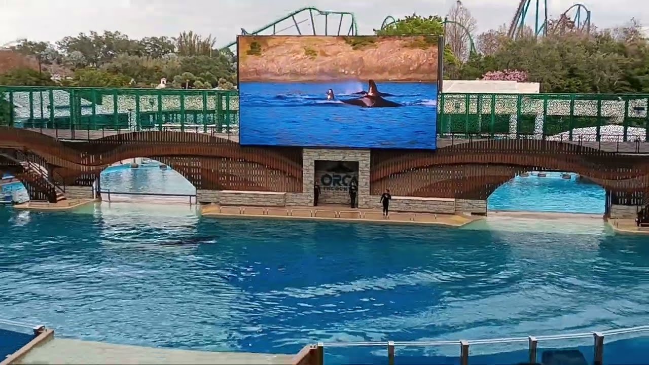 SeaWorld Orlando - Orca Encounter  - Hunt Sequence - Nalani and Malia