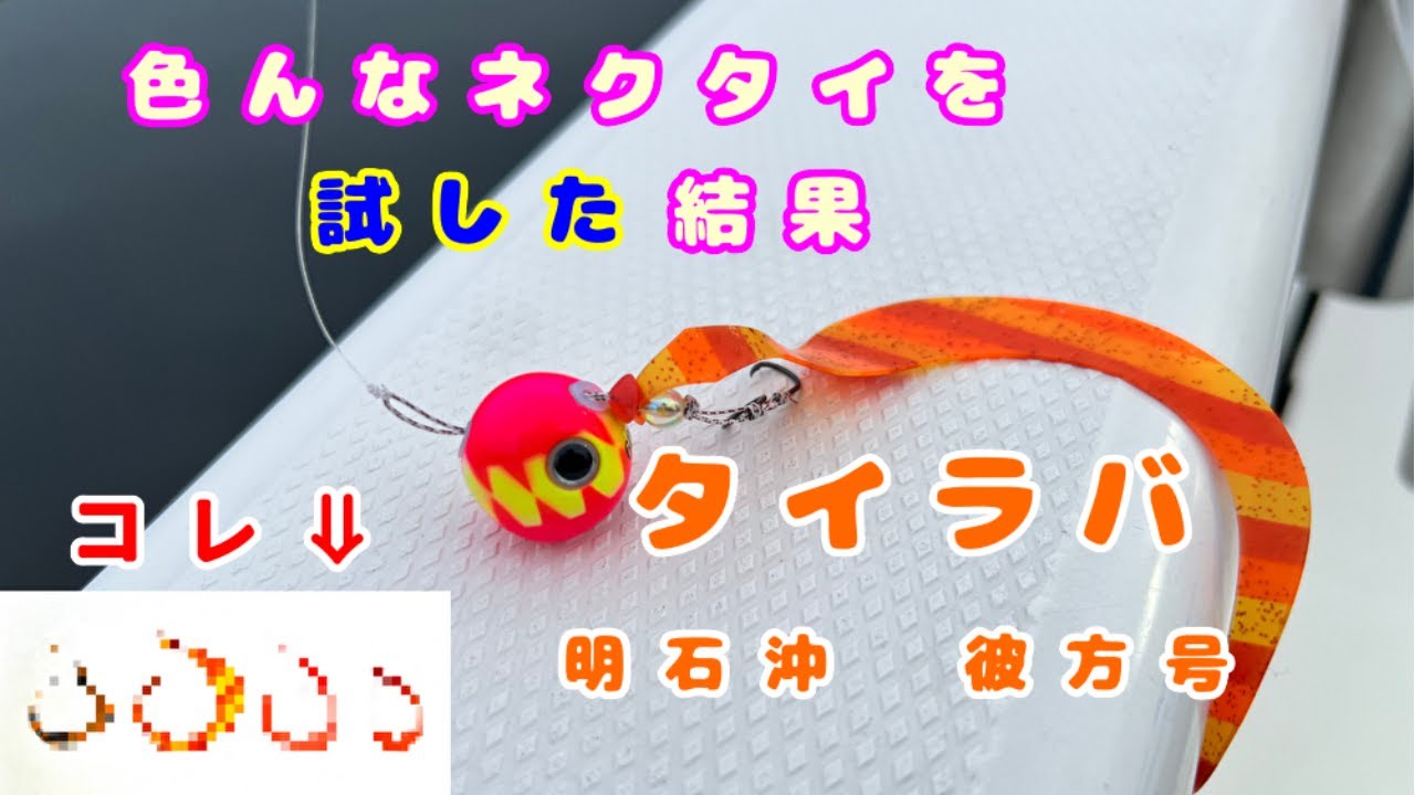 【タイラバ】ネクタイローテーションで真鯛を狙う。今はやりのBIGネクタイも。