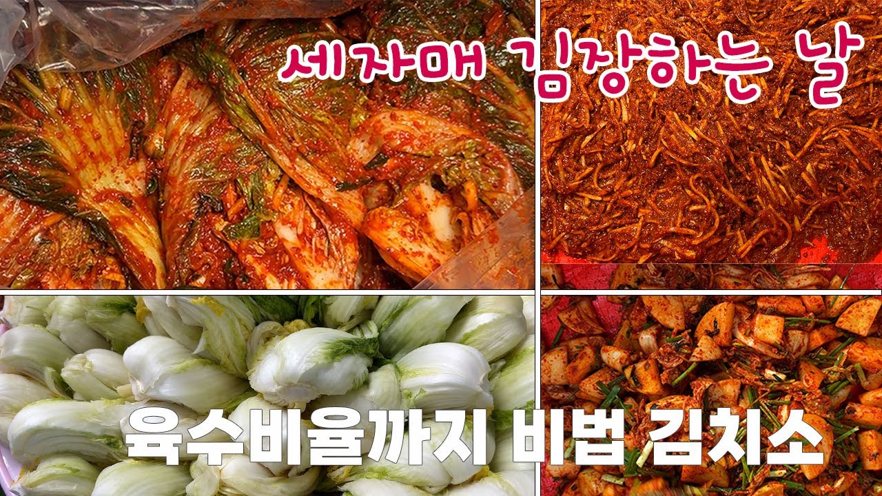 🥬겨울 김장 김치소에 ***국 두컵 넣으면 감칠맛 폭팔! 세자매 김장 하던날(Kimchi)