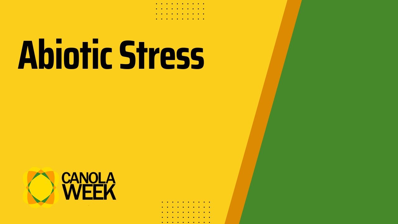 Abiotic Stress