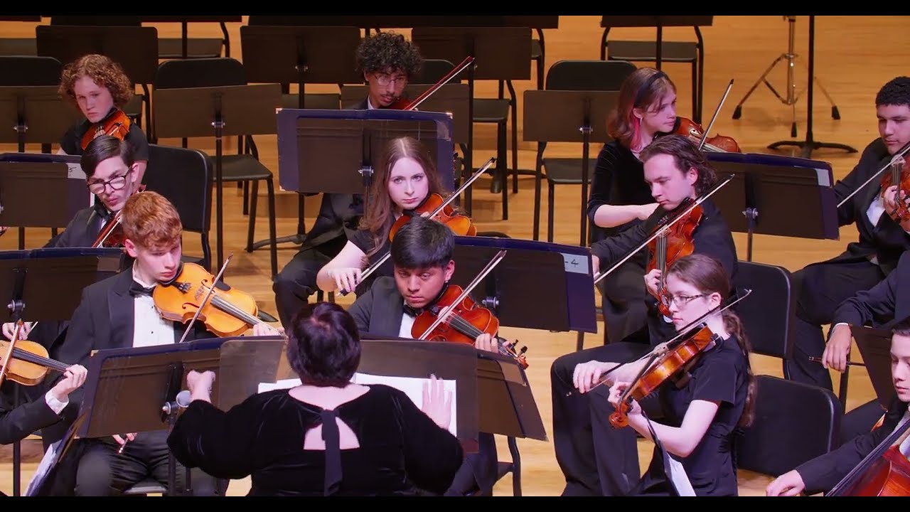 Taifu (Chris Pilsner) - EVSC High School Honors Orchestra 2025